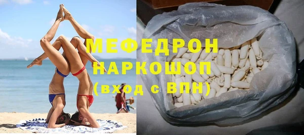 индика Козельск