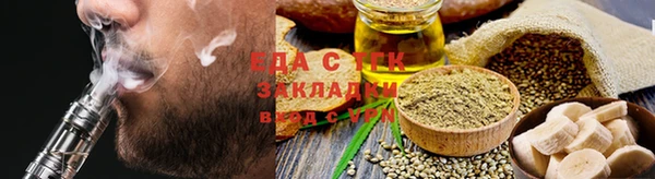 индика Козельск