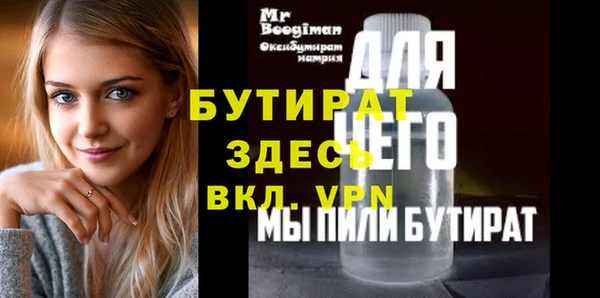 индика Козельск