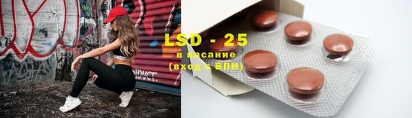 индика Козельск