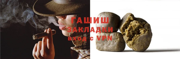 индика Козельск