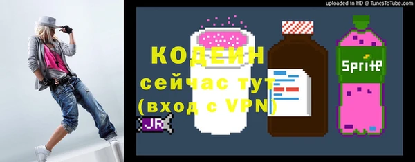 амф Козловка