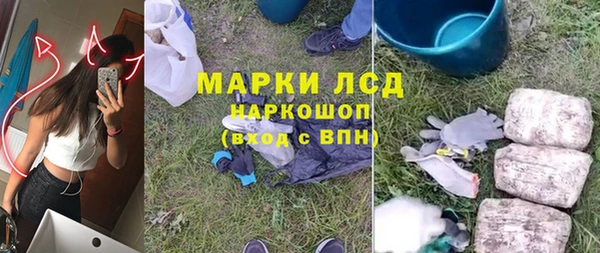 индика Козельск
