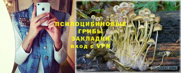 индика Козельск