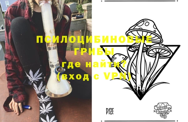 индика Козельск
