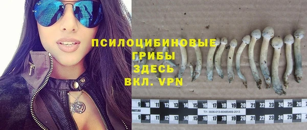 каннабис Кодинск
