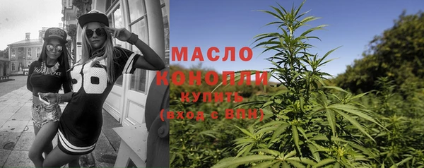 индика Козельск