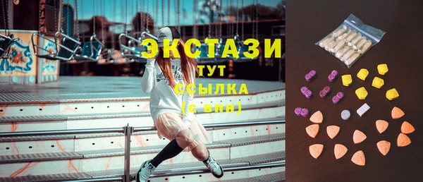 индика Козельск