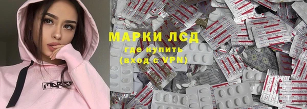 индика Козельск