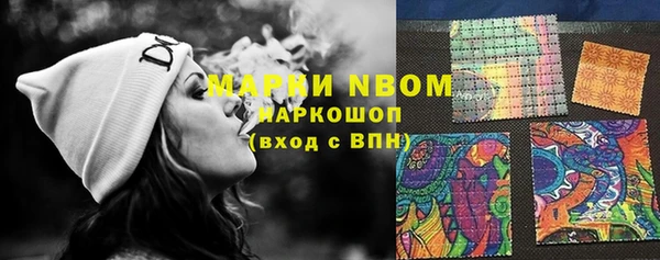 индика Козельск