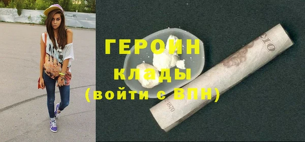индика Козельск