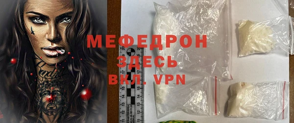 индика Козельск