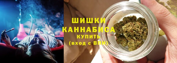 амф Козловка