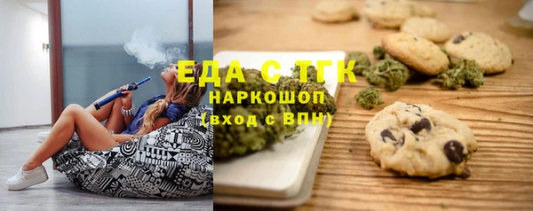 индика Козельск