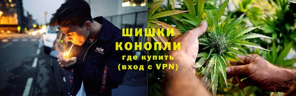 амф Козловка