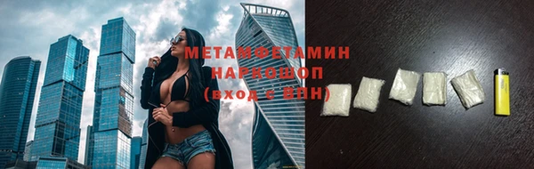 индика Козельск